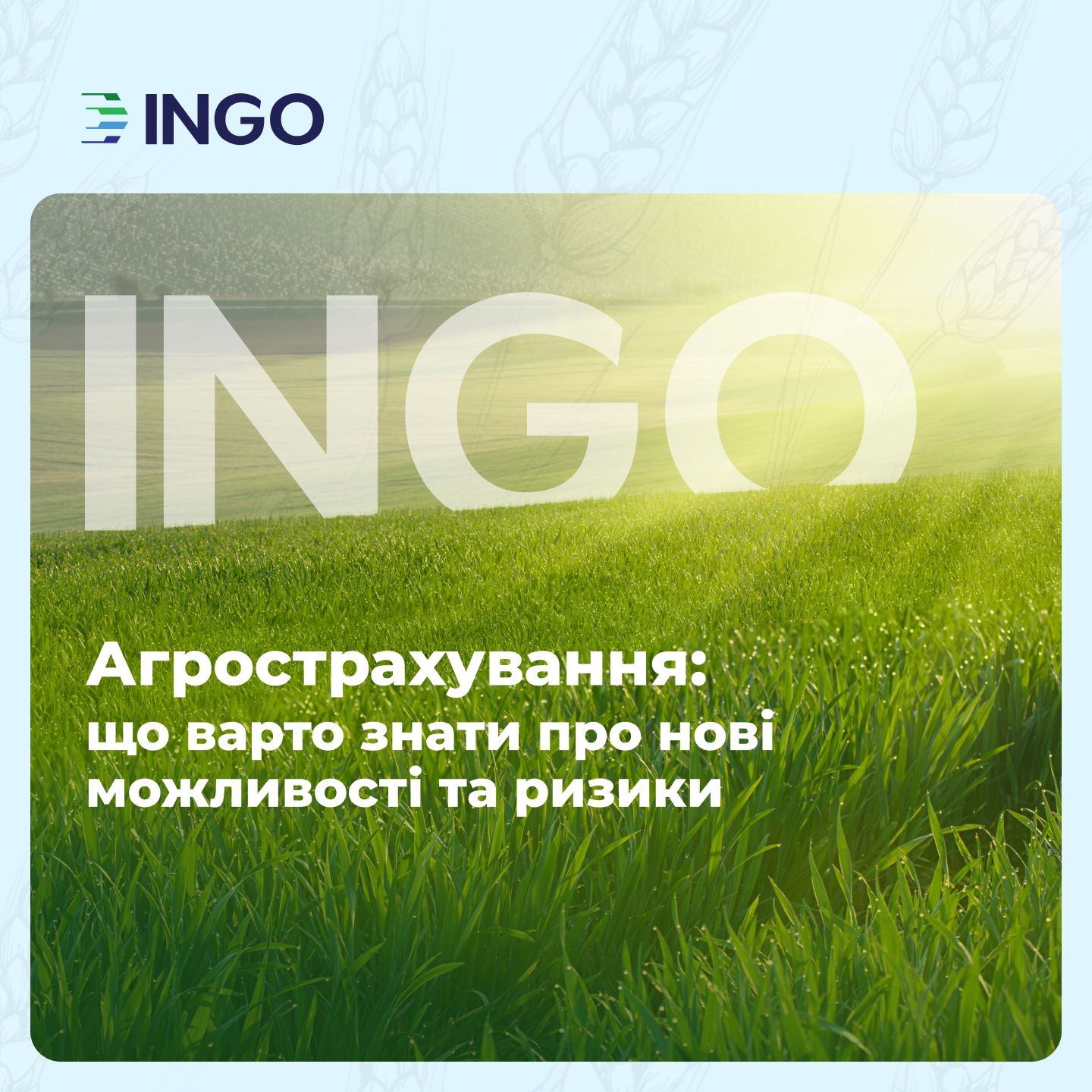 Досить «молитися» на дощ: скільки коштує аграрію застрахувати посіви і як в цьому допоможе держпідтримка