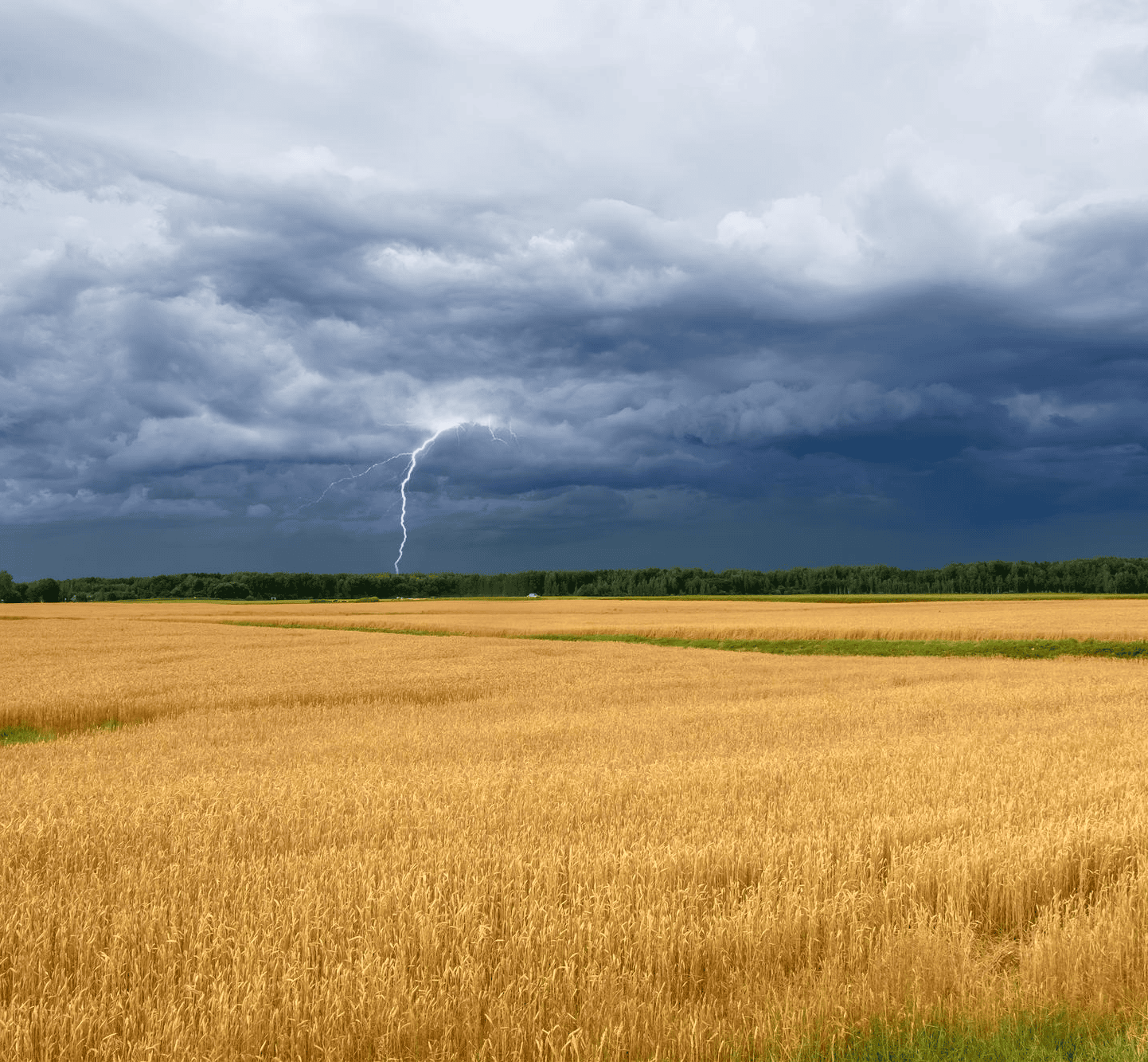 Climate change as a challenge for farmers