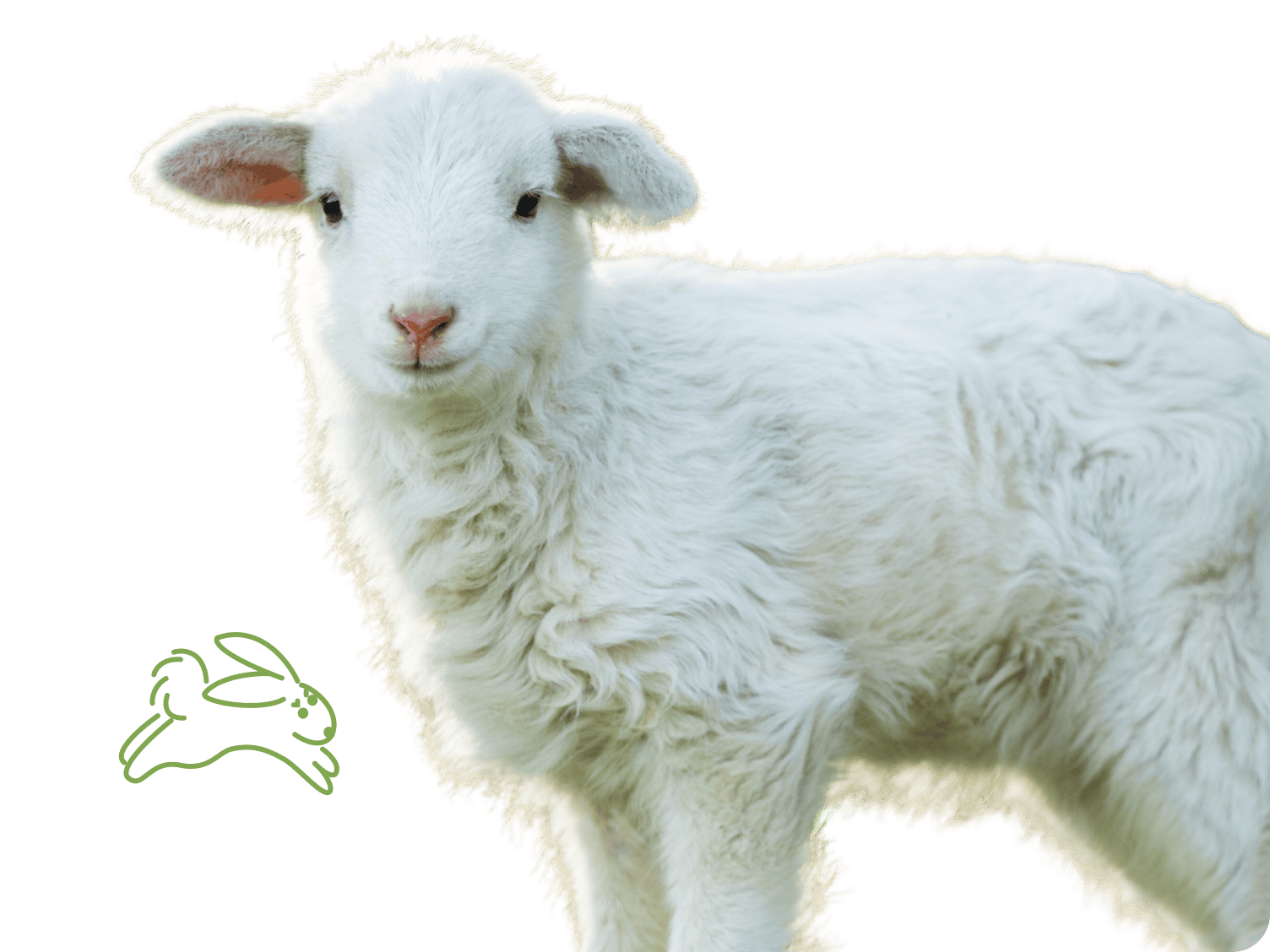 Insurance of farm animals